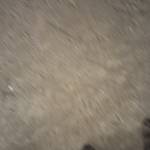 Undaunted Profile Picture