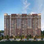 Prestige Evergreen Gallery Profile Picture