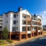 Purva Northern Lights Profile Picture