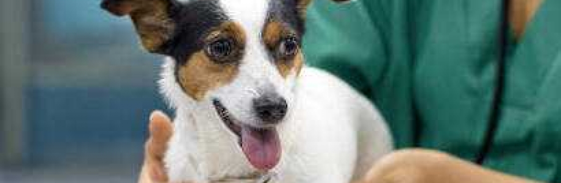 24 Hour Vet Singapore Cover Image